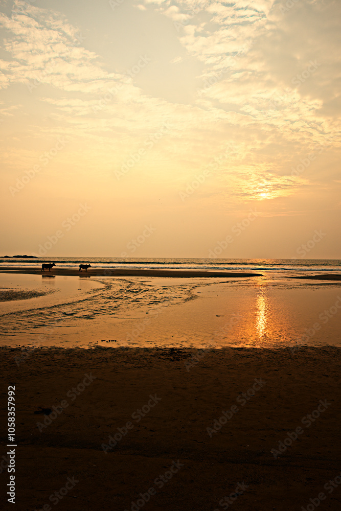 Sunset Escape at Gokarna Beach