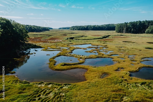 Abstract texture of swamp marsh with small ponds. Phippsburg, Maine, United States. photo
