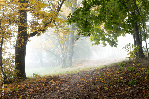 Beautiful foggy autumn morning landscape at the lakeside forest in Latvia. Footpath through the fall park. Seasonal scenery of Northern Europe.