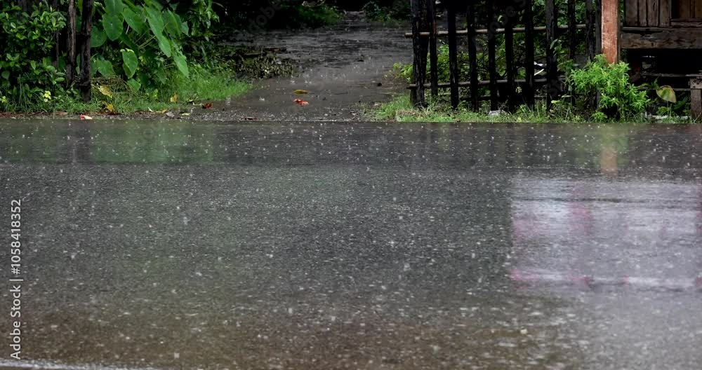 Raindrops hit the road and cars speed past, captured on a professional 4K high-definition camera in Myanmar.