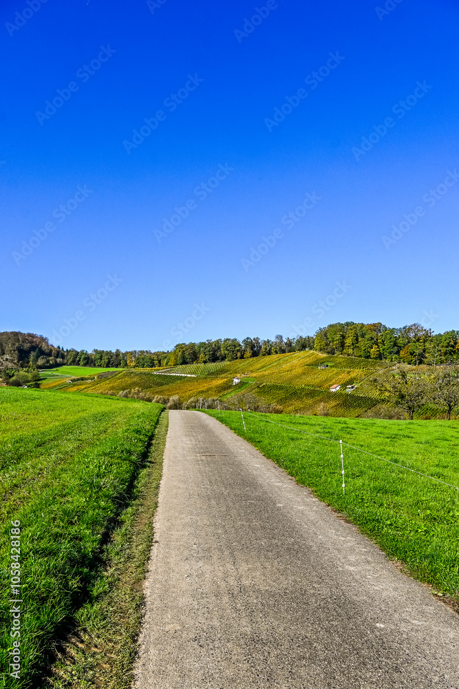 Aesch, Klus, Weinberge, Rebbergweg, Pfeffingen, Birseck, Baselland, Wanderweg, Landwirtschaft, Felder, Herbst, Herbstfarben, Schweiz, Nordwestschweiz Aesch, Klus, Weinberge, Rebbergweg, Pfeffingen, Birseck, Baselland, Wanderweg, Landwirtschaft, Felder, Herbst, Herbstfarben, Schweiz, Nordwestschweiz