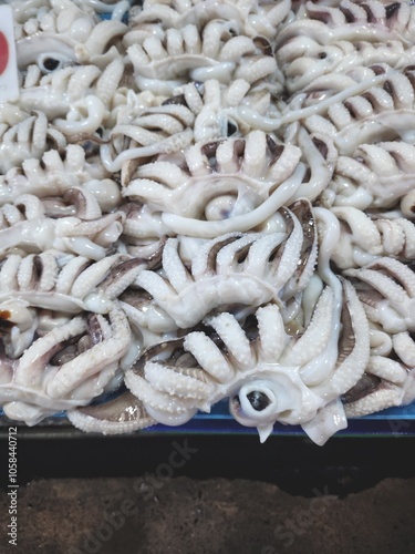 Fresh raw squid in Thai market photo