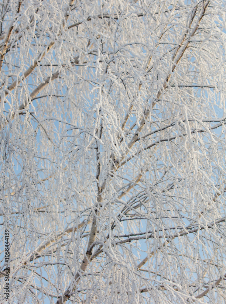 A tree with a lot of snow on it is in front of a blue sky A tree with a lot of snow on it is in front of a blue sky