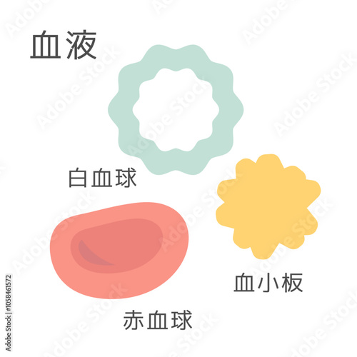 血液　白血球　赤血球　血小板　イラスト

