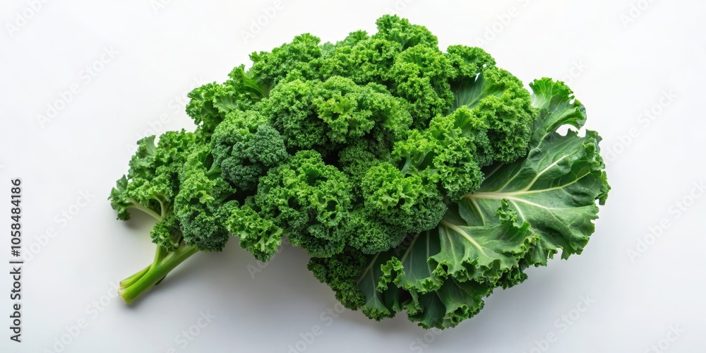 A vibrant bunch of kale leaves, showcasing their deep green hue and intricate textures, arranged against a pristine white backdrop A vibrant bunch of kale leaves, showcasing their deep green hue and intricate textures, arranged against a pristine white backdrop
