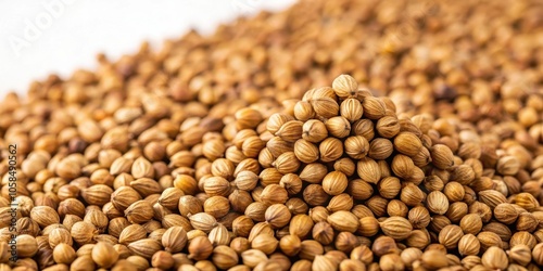 A Close-Up View of Coriander Seeds Arranged in a Pyramid Shape, Displaying Their Brown Hues and Delicate Texture