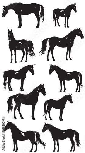 Collection of horses silhouettes set , black silhouettes isolated on white background
