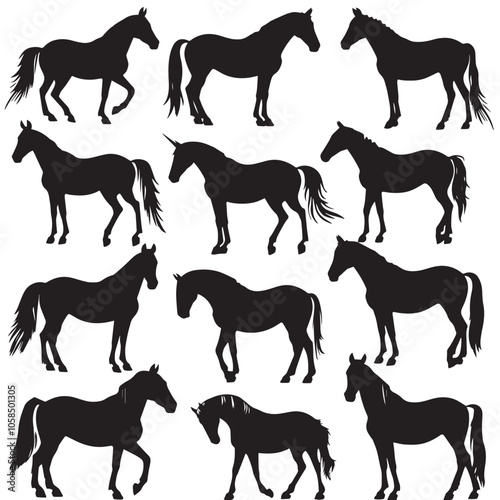 Collection of horses silhouettes set , black silhouettes isolated on white background