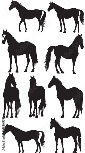Collection of horses silhouettes set , black silhouettes isolated on white background