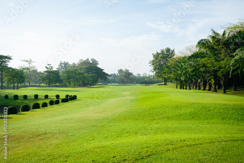 landscape with grass and blue sky