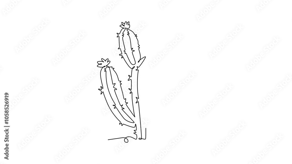 Animated self drawing of continuous line draw of tropical thorny cactus plant. Printable decorative cacti houseplant concept for home decoration wallpaper ornament. Full length single line animation Animated self drawing of continuous line draw of tropical thorny cactus plant. Printable decorative cacti houseplant concept for home decoration wallpaper ornament. Full length single line animation