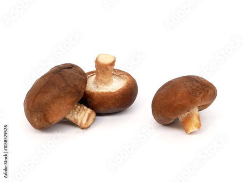 Fresh shiitake mushrooms isolated on white background.