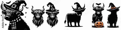 A playful Halloween-themed illustration featuring Highland cattle wearing witch hats, scarves, and interacting with a pumpkin.