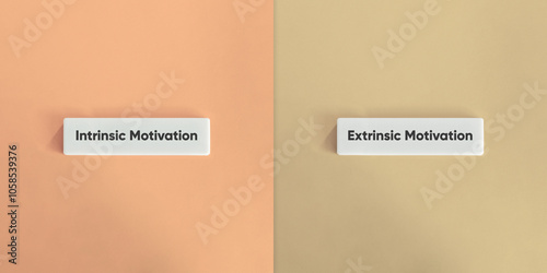 Intrinsic vs. Extrinsic Motivation Banner. Text on Block Letter Tiles on Yellow and Blue Background. Minimal Aesthetic. photo