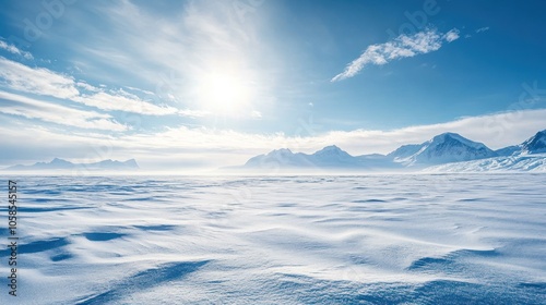 A vast, snowy landscape under a bright blue sky with distant mountains.