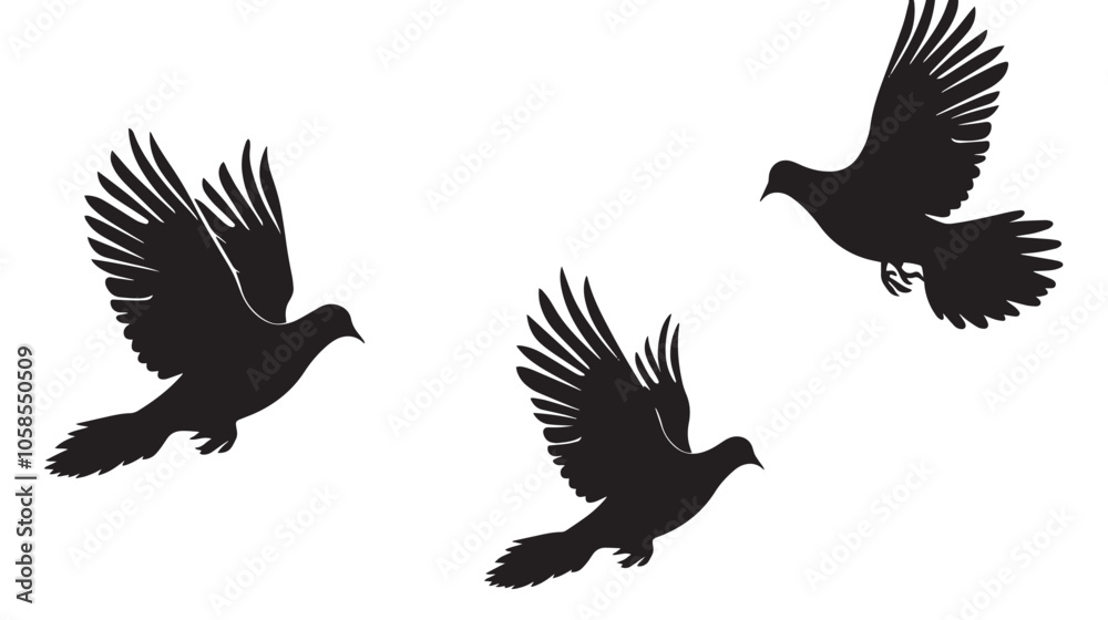 Obraz premium Doves silhouette isolated in White background