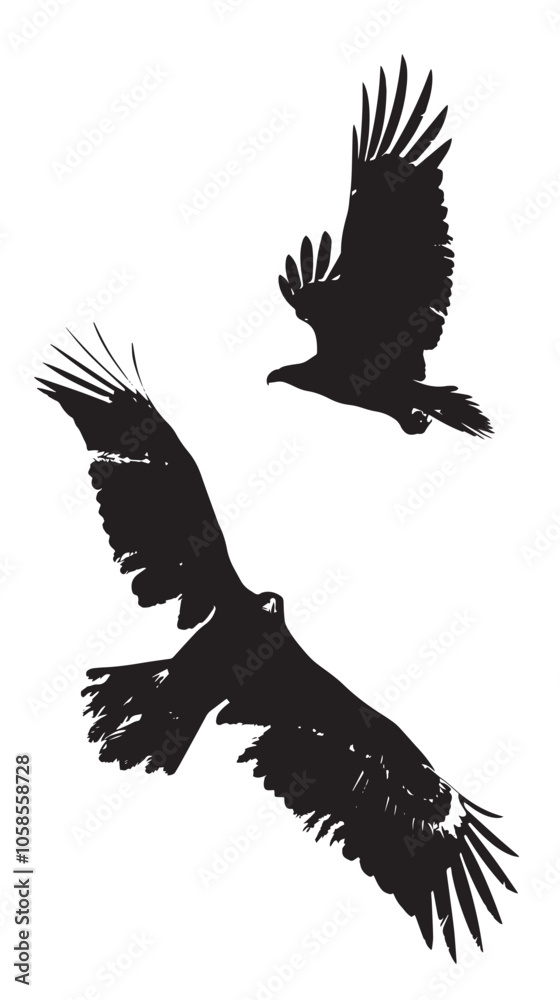 Obraz premium Eagles silhouette isolated in White background