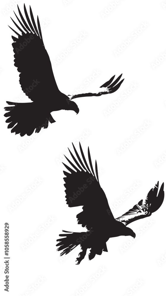Fototapeta premium Eagles silhouette isolated in White background