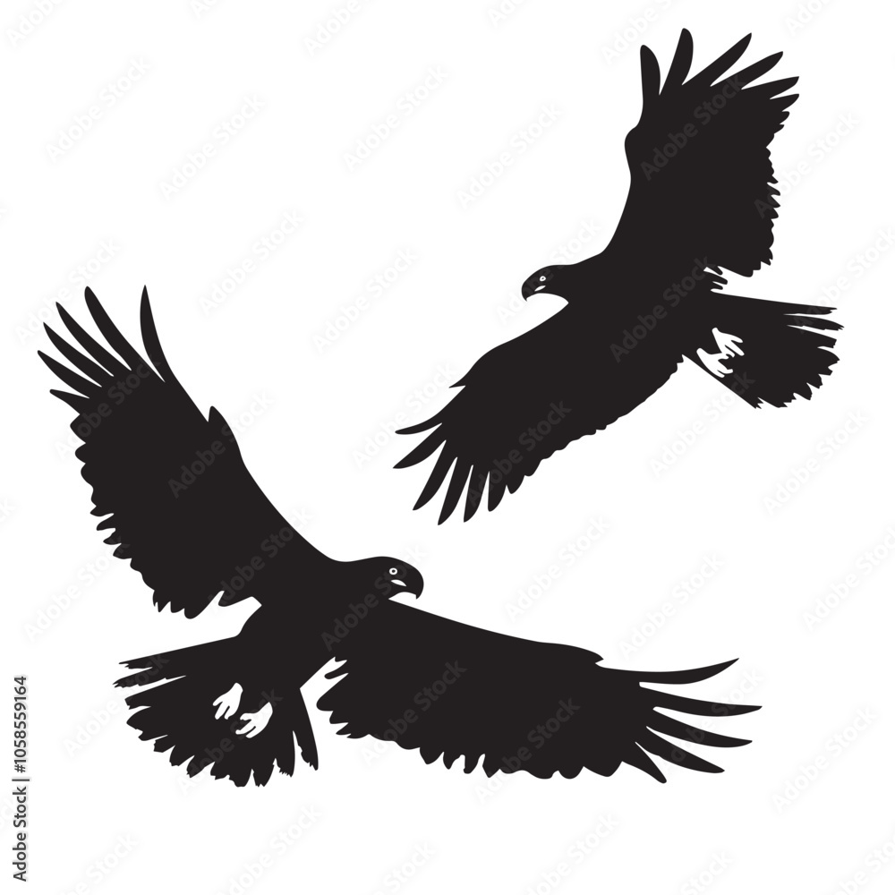 Fototapeta premium Eagles silhouette isolated in White background