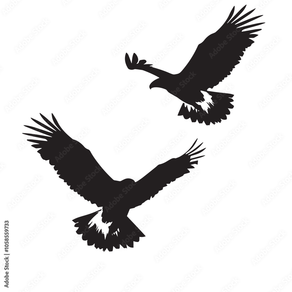 Eagles silhouette isolated in White background