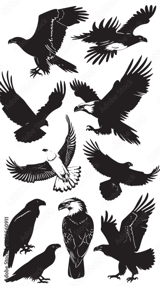 Fototapeta premium Eagles silhouette isolated in White background