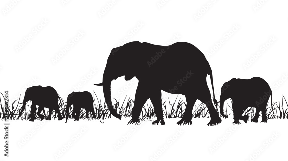 Fototapeta premium Elephant Silhouette Vector , black silhouettes isolated on white background