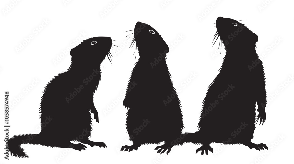 Fototapeta premium Ferrets silhouette isolated in White background