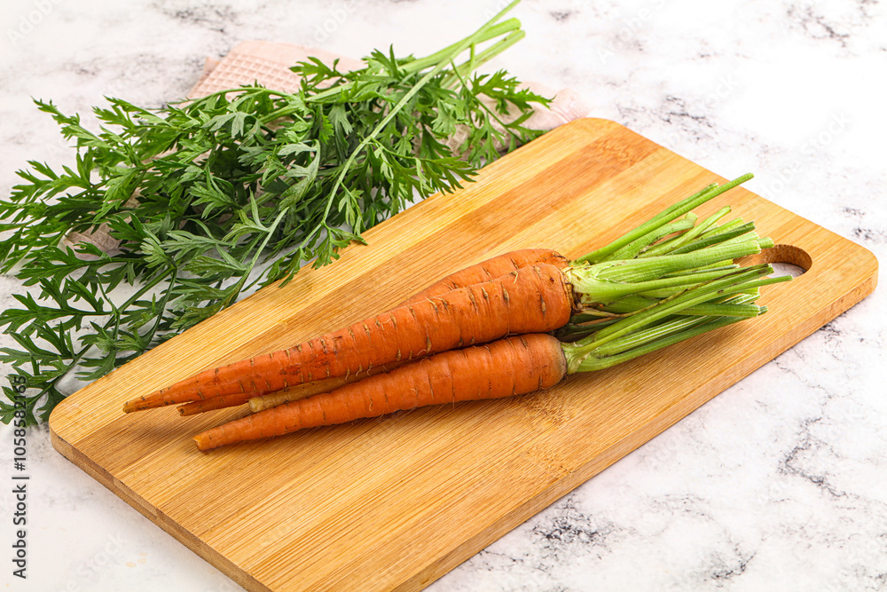 Toung fresh ripe orange carrot Toung fresh ripe orange carrot