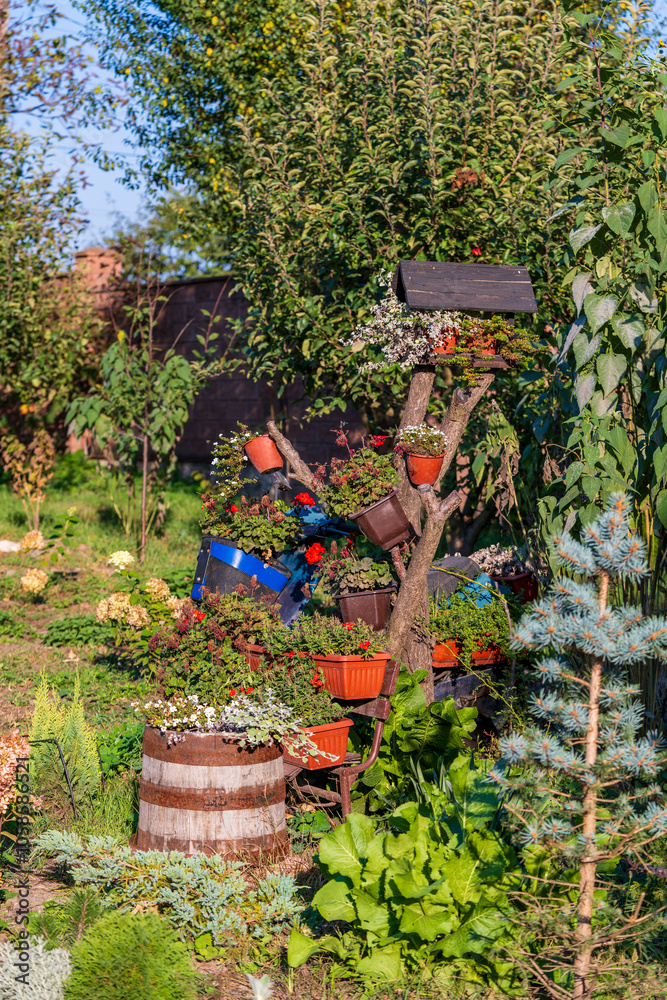 Φωτογραφία Summer garden with a variety of flowers and plants, including few potted plants in containers
