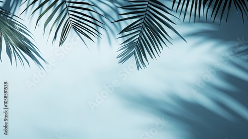 Tropical palm frond shadows create an intricate foliage silhouette against a light blue background. This flat lay design emphasizes the beauty of tropical palm fronds with ample copy space.