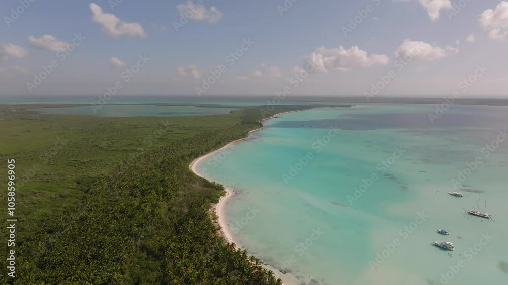 Aerial view circling the Playa Palmilla, sunny day in Dominican Republic
