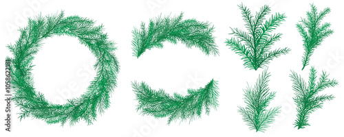 Hand drawn fir set includes wreath, frame, twigs and bunches of fir and pine branches. Traditional coniferous elements for Christmas and New Year design. Collection of needle nature compositions, vect