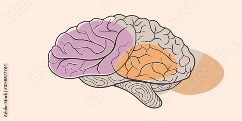 Healthy Brain with Meat Symbol An illustration combining a brain imagery with a piece of labgrown meat denoting the cognitive benefits of healthier fats in diet.