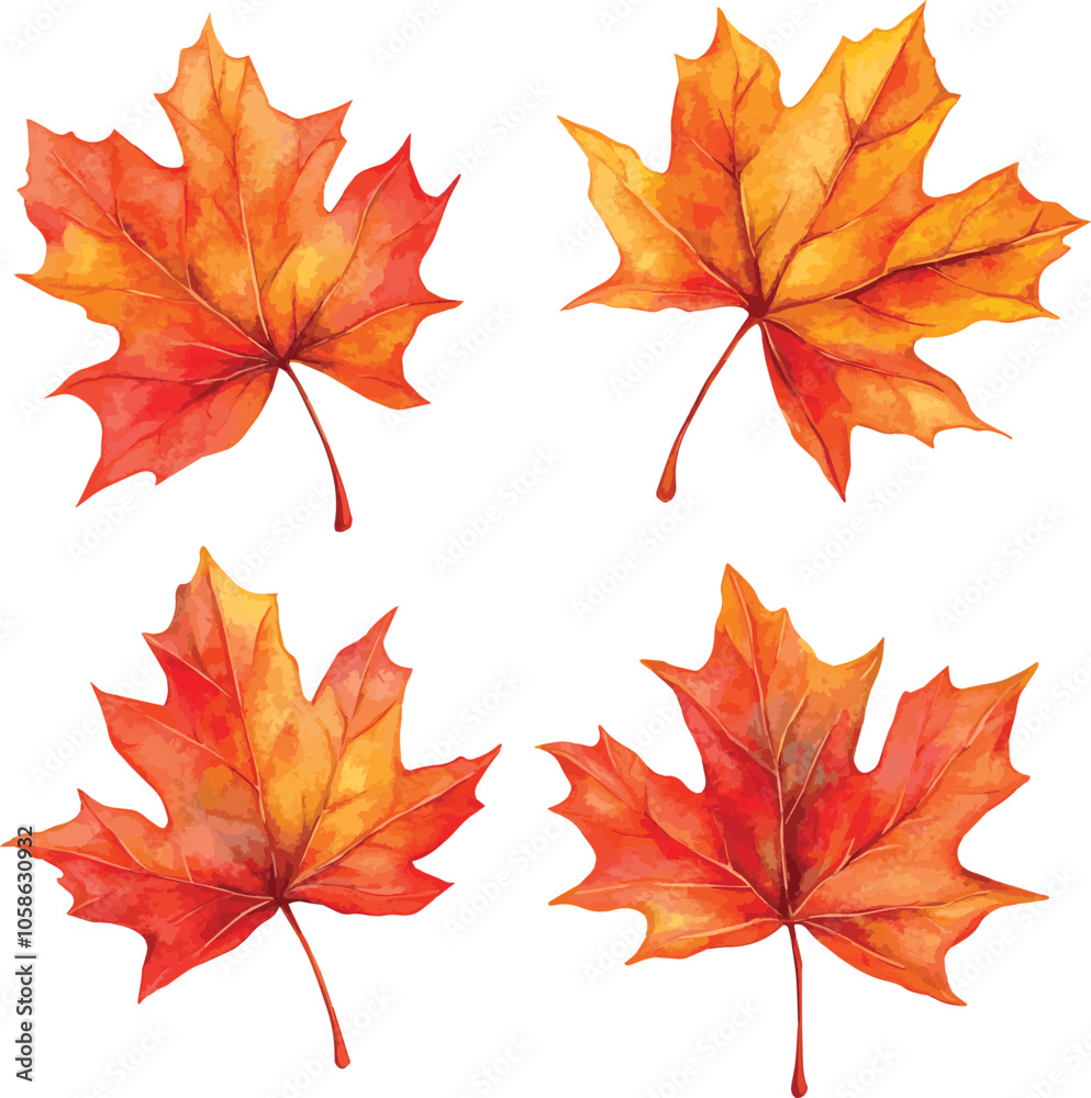 Fototapeta premium Beautiful vector watercolor set of autumn leaves collection with vibrant shades of orange, red, and yellow on white 