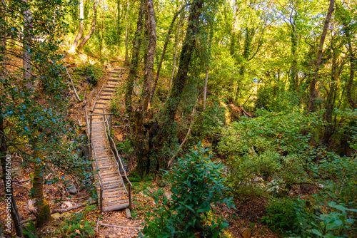 Trekking and hiking routes in the dense forest with lush vegetation in Tsagarada village, Pelion, Greece. Forest paths. Autumn landscape