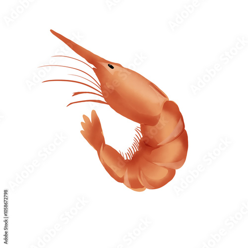 shrimp