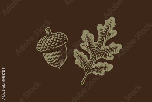 Oak leaf and acorn. vintage monochrome brown vector illustration. Print, icon, emblem, logo.