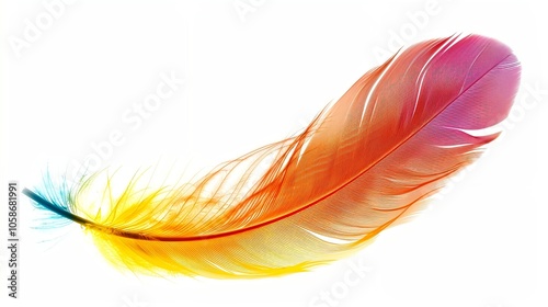 Colorful feather isolated on a white background
 photo