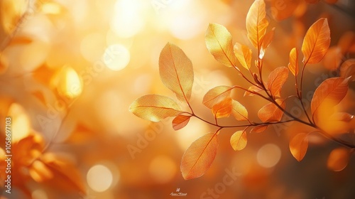 Soft autumn leaves against a blurred background create a tranquil atmosphere for cards