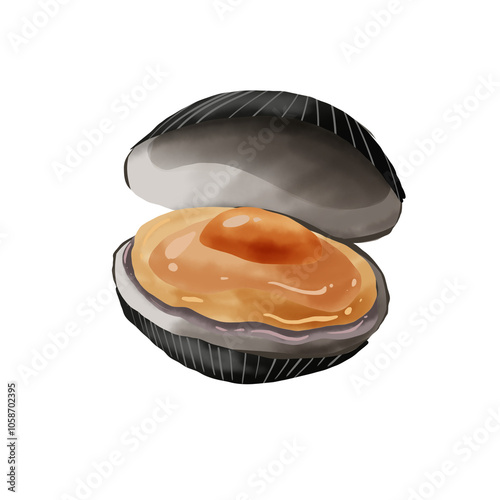 cockle
