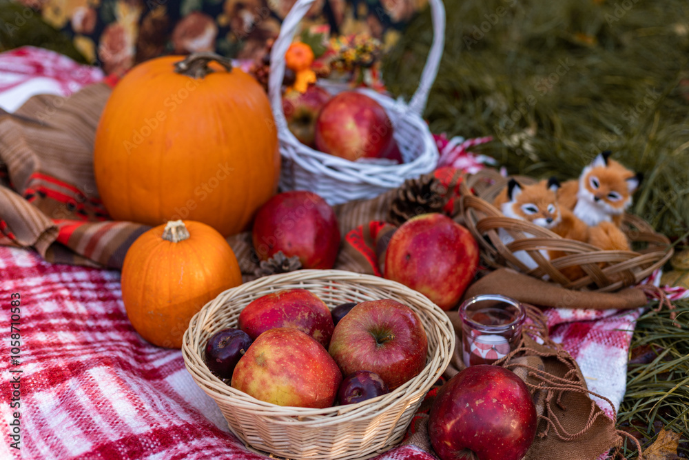 Autumn picnic in nature with apples. Apples and pumpkins on a blanket in nature Autumn picnic in nature with apples. Apples and pumpkins on a blanket in nature