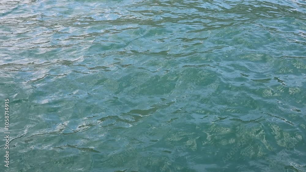 Wonderful swim in clean turquoise sea water. Scenic backdrop with beautiful transparent water of the Red Sea with sun shine. Wonderful swim in clean turquoise sea water. Scenic backdrop with beautiful transparent water of the Red Sea with sun shine.