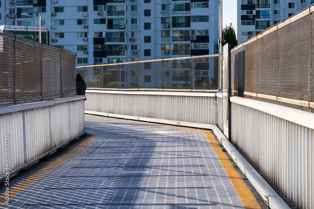 Fototapeta premium walkway on the pedestrian overpass