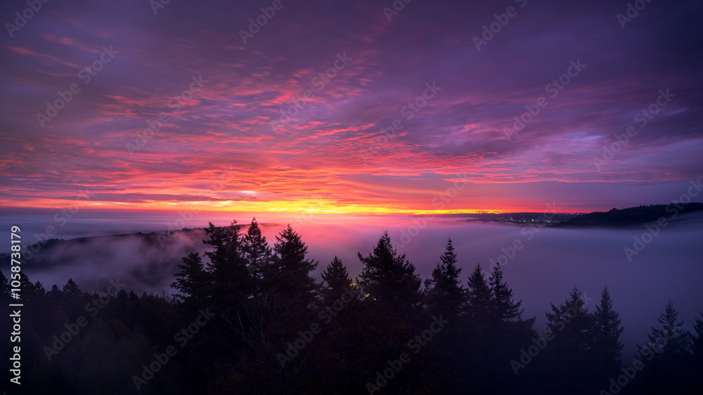 custom made wallpaper toronto digitalA spectacular sunrise over the fog-covered Black Forest during an inversion in fall