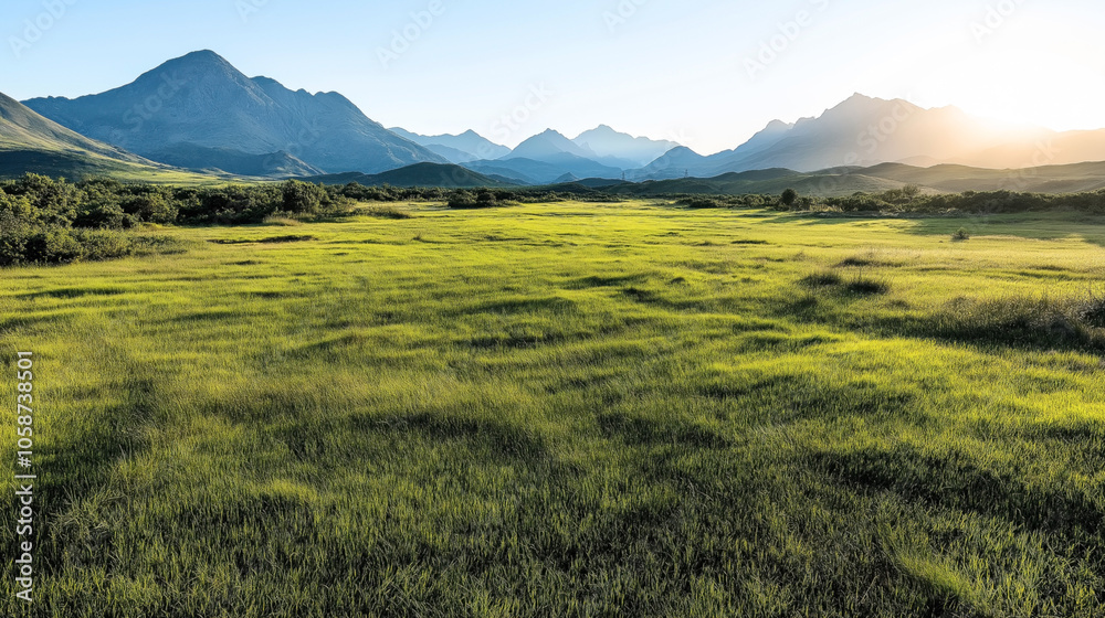 Fototapeta premium Scenic landscape with a wide green meadow, surrounded by lush vegetation and mountains under a clear blue sky with sunlight illuminating the scene from the horizon in the distance.