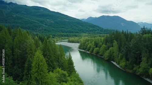 Drone view of a lush green coastal forest. Beauty in nature. Environmental conservation backgrounds. Cheakamus River in Whistler, Canada  photo