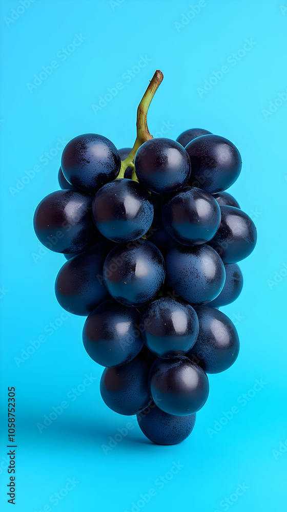 Juicy Black Grapes Photo on Blue Background Juicy Black Grapes Photo on Blue Background