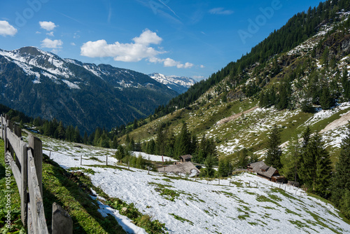 First snow on the mountain pasture