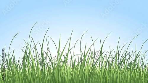 Green grass blades against a clear blue sky.