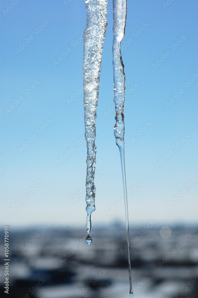 icicles against the background of a clear blue sky above the city, drops melt from the icicles
